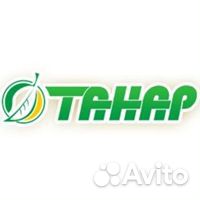 Процедурная медицинская сестра