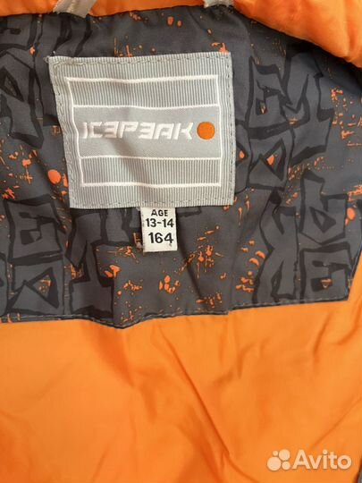 Весенняя куртка icepeak