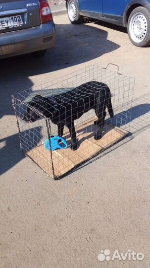 Переноска для собак