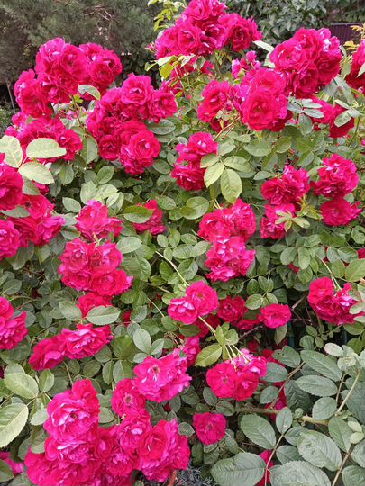 Коттедж 255 м² на участке 15 сот.