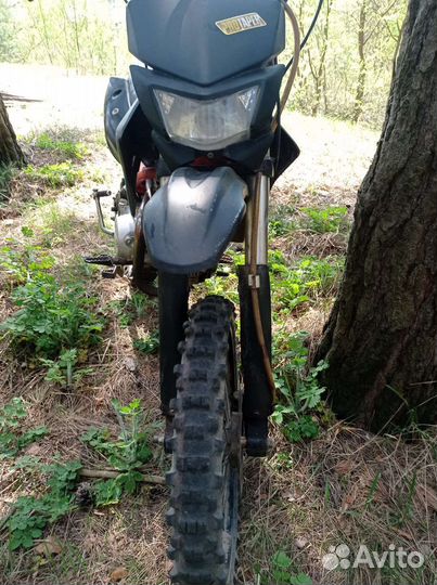 Питбайк ттр 125