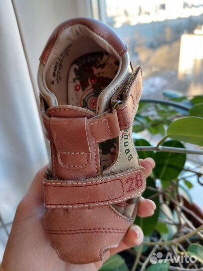 Капика 26