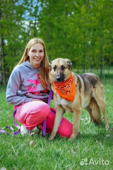 Спаси собаку из приюта