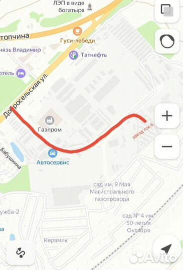 Стружка,хвойных пород