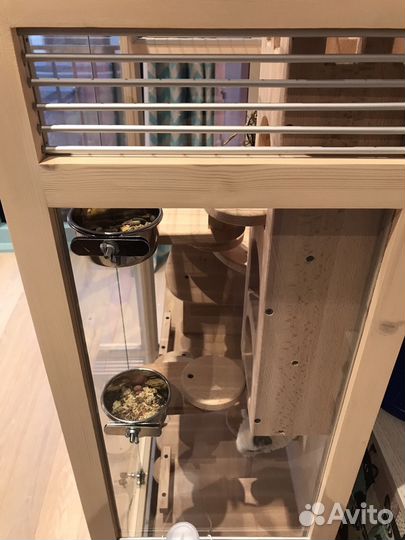 Витрина для шиншилл, Дегу, белок «Лето-2»