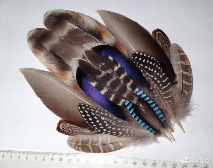 Перо для творчества