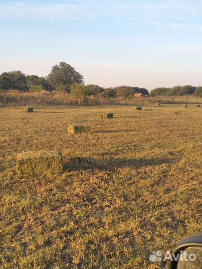 Сено в тюках с доставкой