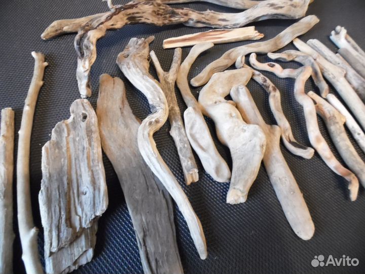 Коряги дрифтвуд