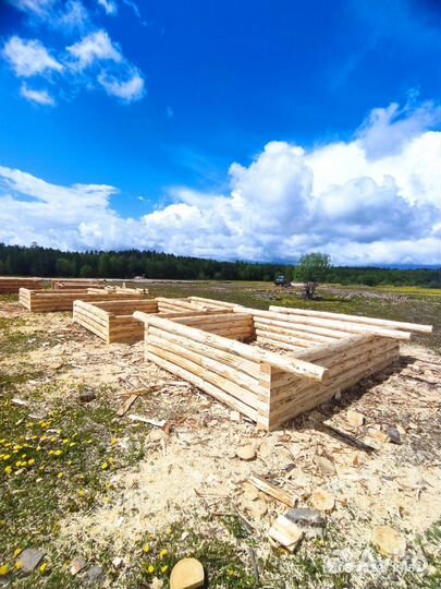 Сруба сосновые