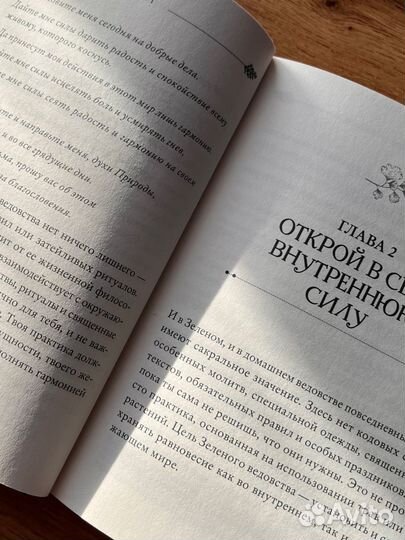 Книга Green Witch