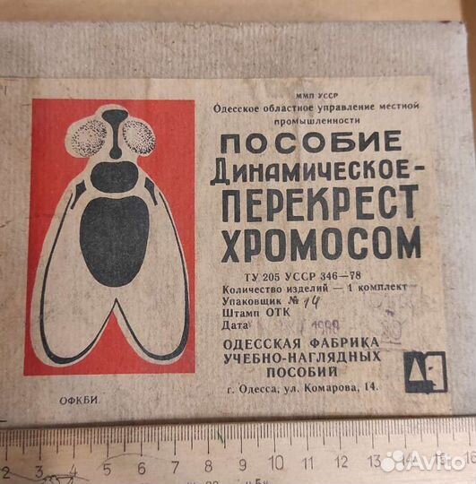 Пособие динамическое перекрест хромосом (биология)