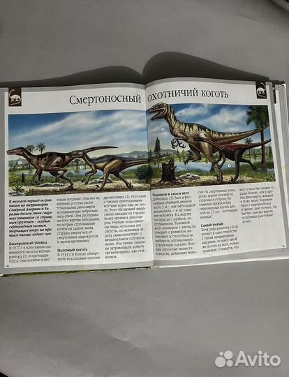 Википедия для учащихся 5 -11кл и о динозаврах