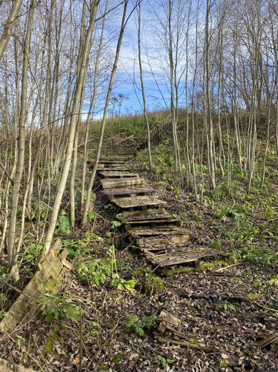 Участок 100 сот. (СНТ, ДНП)