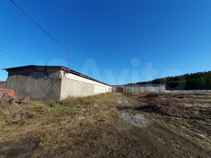 Теплое производственное помещение, 1000 м²