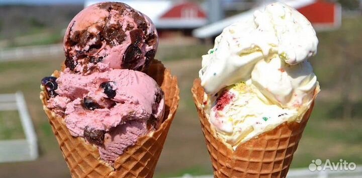 Франшиза алкогольного мороженого: ваш шанс