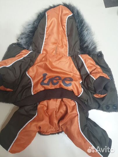 Одежда для маленьких собак