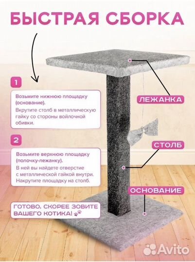 Когтеточка Новая