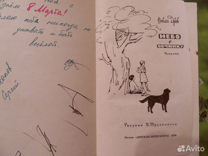 Небо с овчинку Н. Дубов