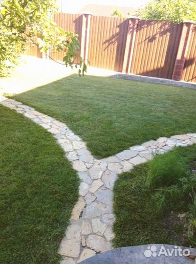 Рулонный газон