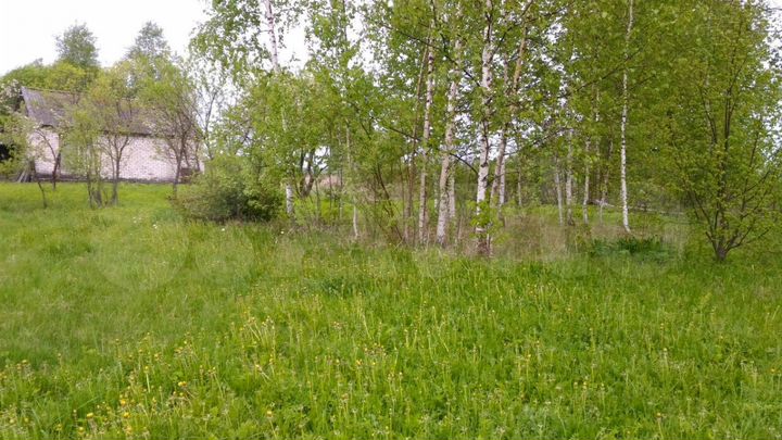 Участок 15 сот. (ИЖС)