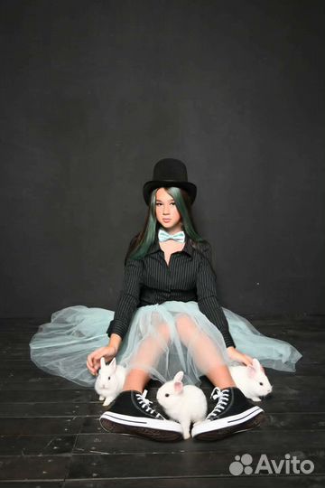 Аренда декоративных кроликов