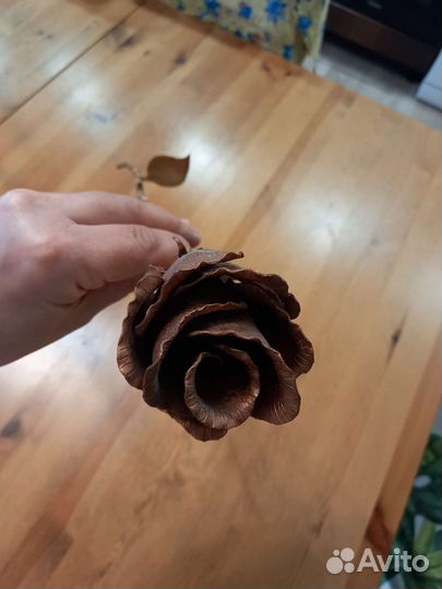 Железная роза