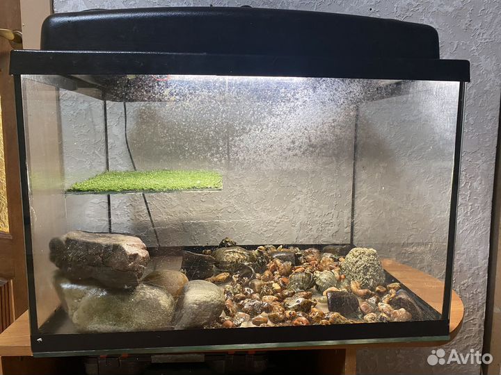 Террариум для черепахи большой