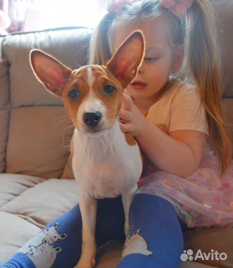 Девочка Баффи от Чемпионов