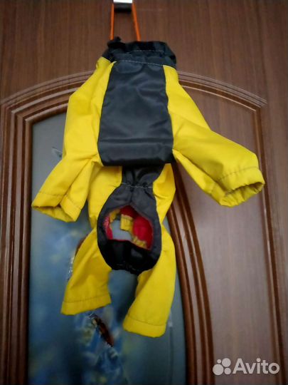 Комбинезоны для маленькой собаки