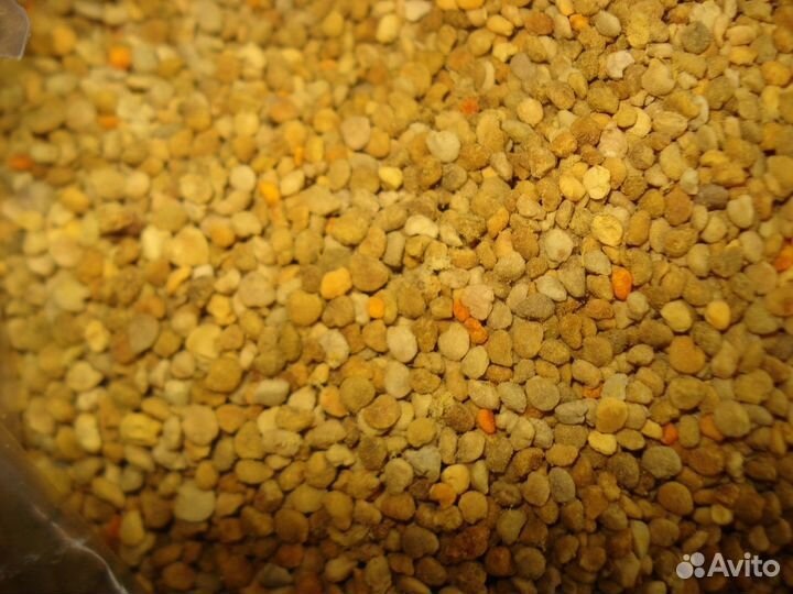 Пыльца пчелиная