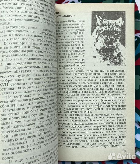 «Братья меньшие» вчера и сегодня / Краснопевцев