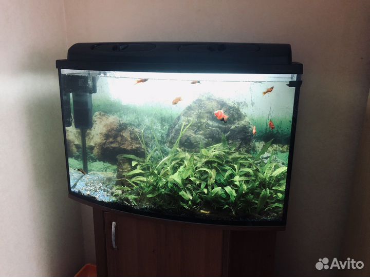 Аквариум с тумбой 130л