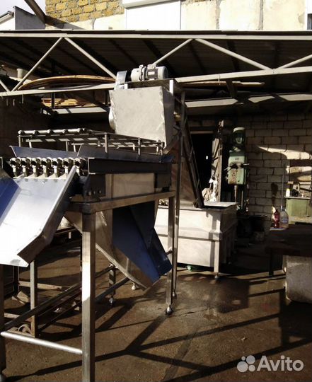 Для мойки и сортировки рыбы