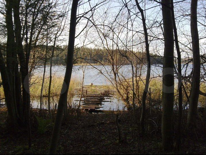 Участок 1,11 га (СНТ, ДНП)