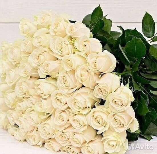 Высокие Розы с Доставкой