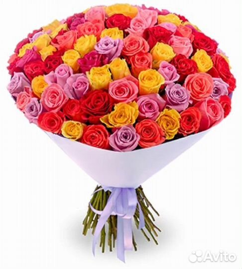 Букет роз 101 шт. Бесплатная доставка