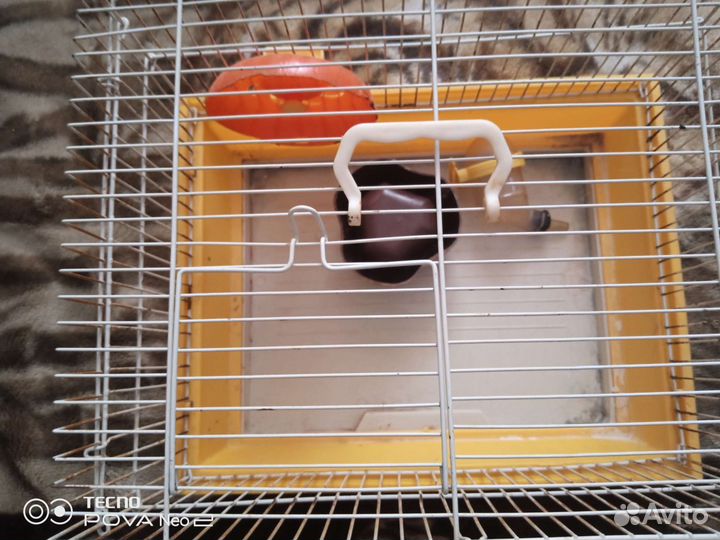 Клетка для грызунов