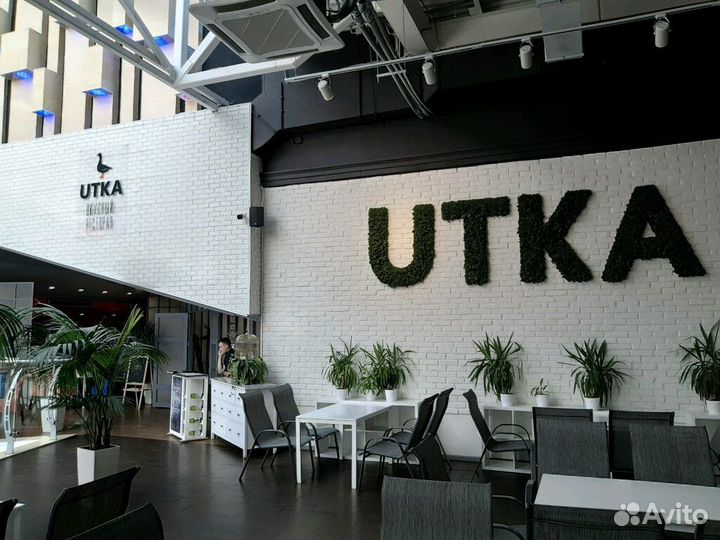 Администратор ресторана Утка