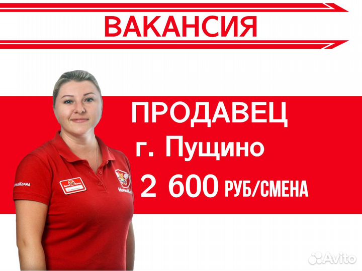 Продавец - консультант