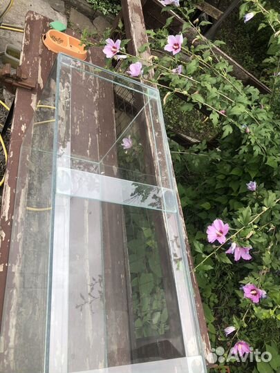 Продаю аквариум в идеале