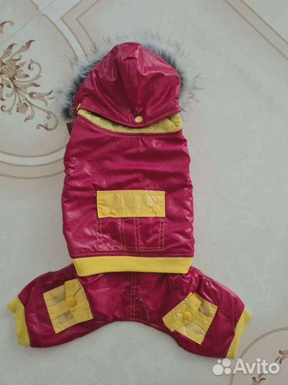 Одежда для собак