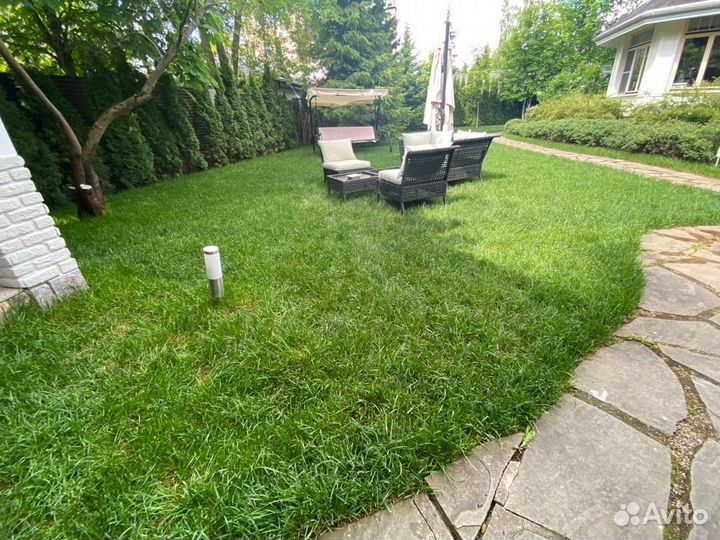 Рулонный газон от производителя