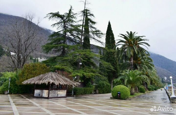 Тур в Гагру на 7 нч. без питания