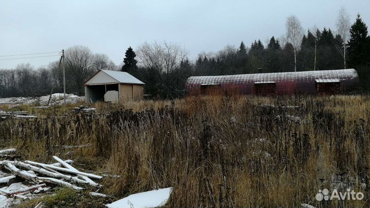 Продам деревоперерабатывающее производство