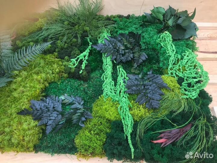 Готовые долговечные панели из мха по вашим размера