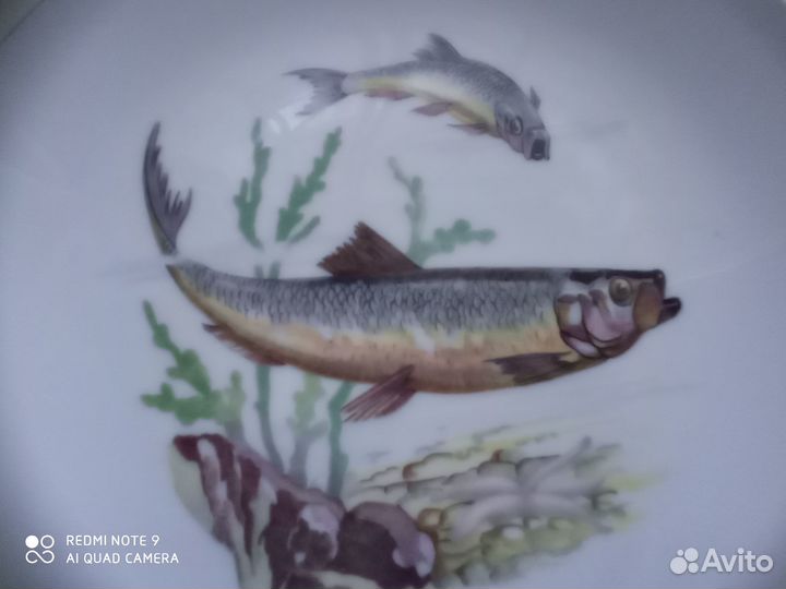 Тарелка декоративная рыбы. ГДР, 1960-80-е гг. Кахл