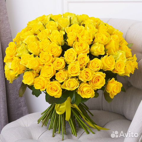 Желтая роза 51 роза 101 премиум эквадор