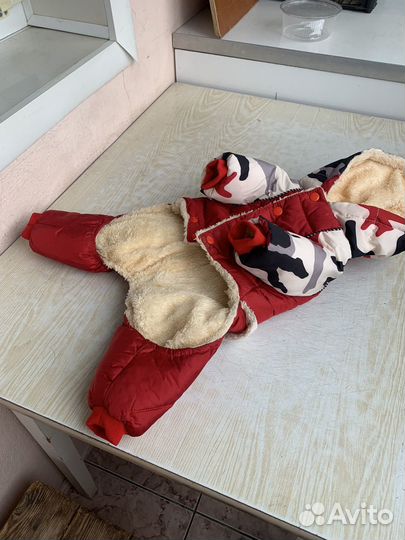 Одежда для маленьких собак