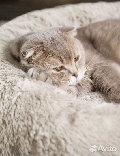 Лежанка для кошек и собак