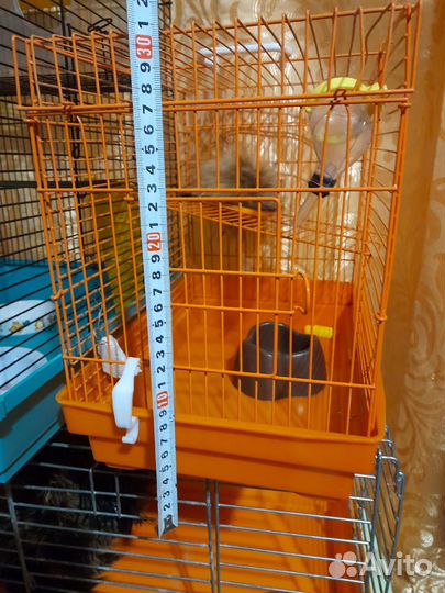 Клетка для кролика и грызунов